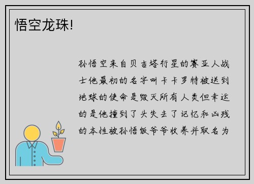 悟空龙珠!